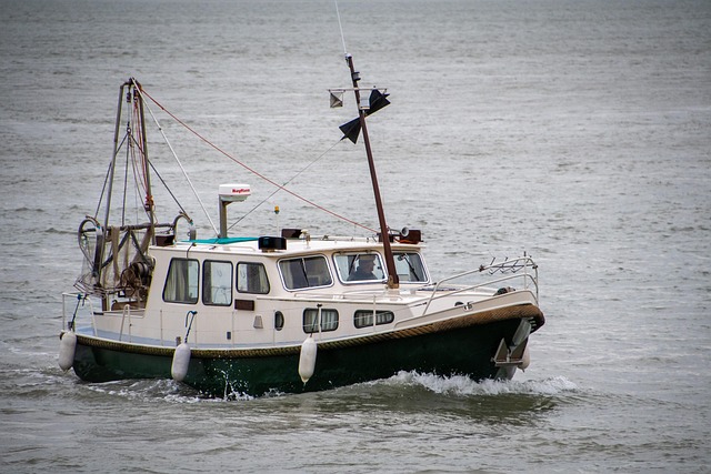 dinner boat