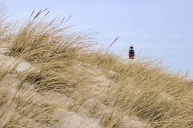 dune bashing