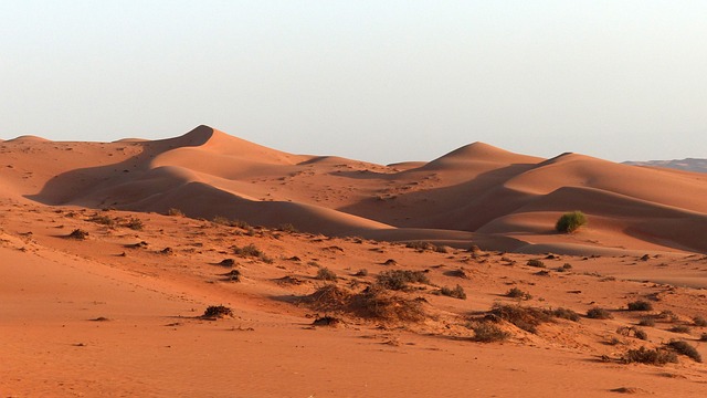 Dune Buggy