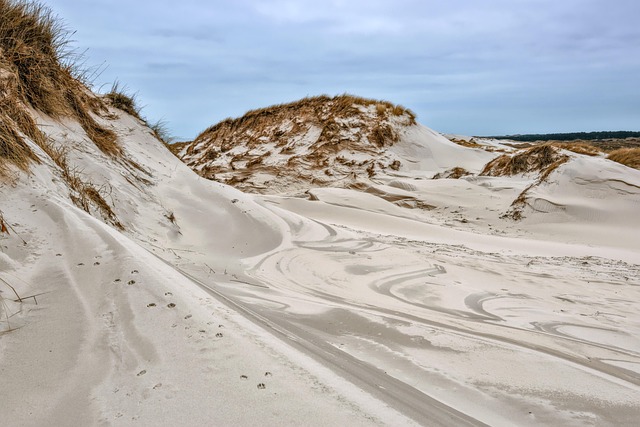 Explore Al Barsha’s Dunes: Your Ultimate Dune Buggy Rental Guide