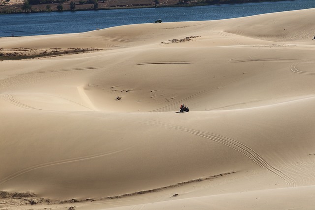 Dune buggy Al Safa