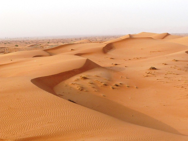 Explore Bur Dubai’s Dunes: Guided Dune Buggy Tour Pickups