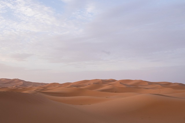 Pickup-Accessible Sand Adventure: Dubai’s Dune Buggy Tours Unveiled