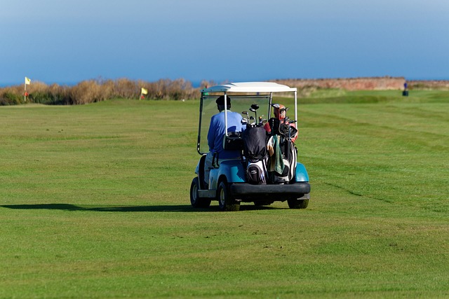 Dune buggy Discovery Gardens