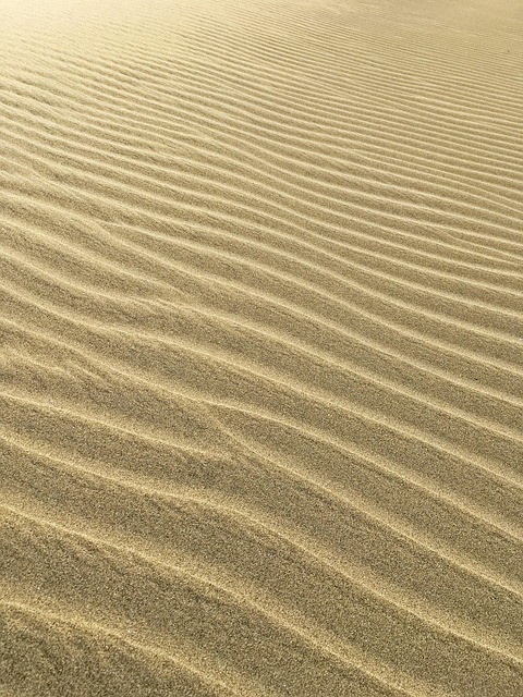 Dune buggy Discovery Gardens