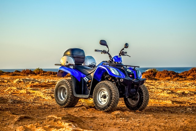 Dune buggy Discovery Gardens