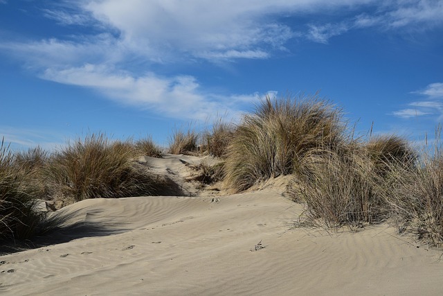 Seamless Dune Buggy Rental: Navigating Dubai’s Off-Road Adventures