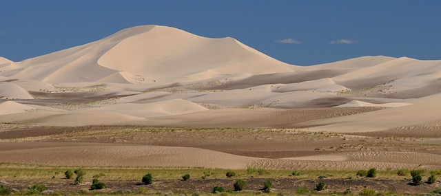 Luxury Dune Adventure: Explore Jumeirah’s Dunes in Style