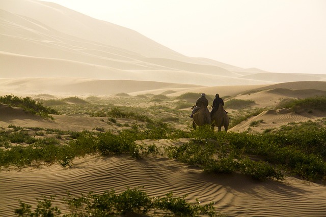 Dubai’s Evening Dune Buggy Rides: Thrilling Desert Safari Adventures