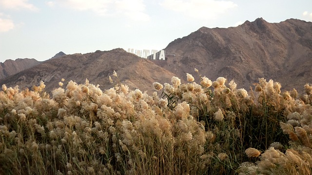 Discover Hatta: Dubai’s Mountainous Gem and Outdoor Paradise