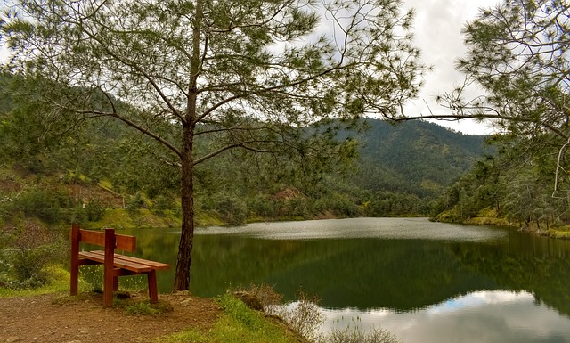 hatta dam