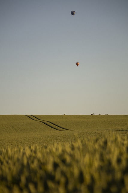 Hot Air Balloon