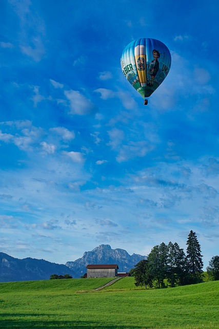 Hot Air Balloon Desert