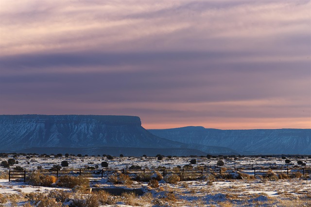 Kids-Friendly Desert