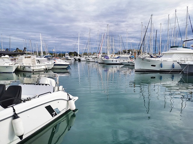 marina cruise