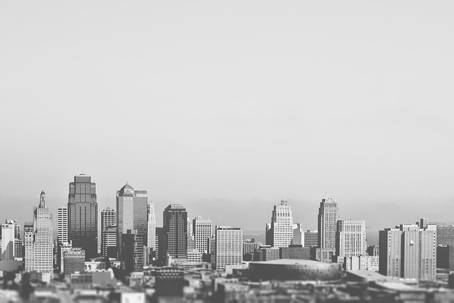 Marina Skyline Helicopter