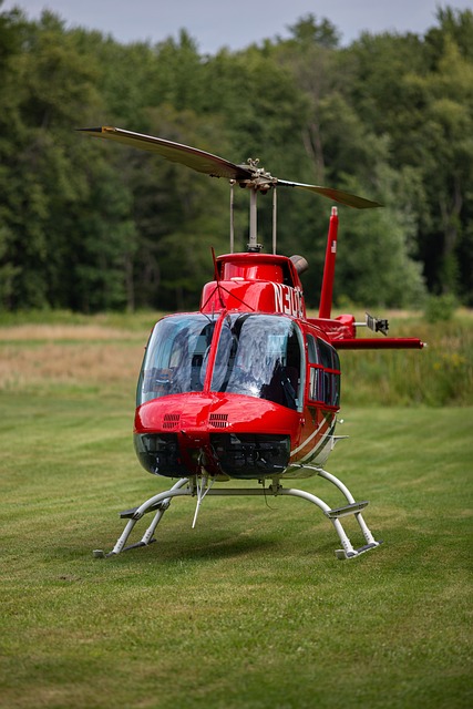 Oasis Helicopter Rides