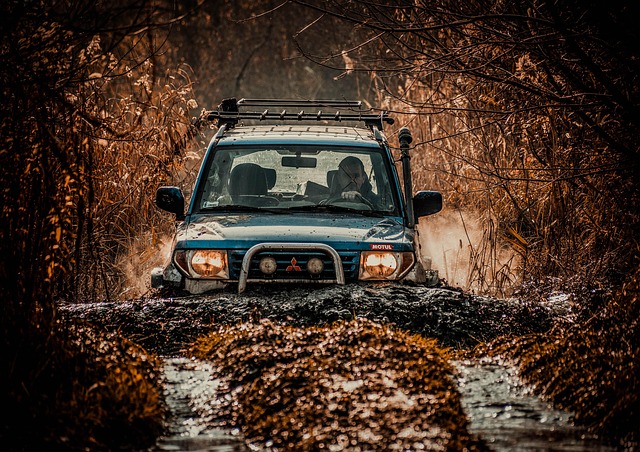 Off-Road Dune