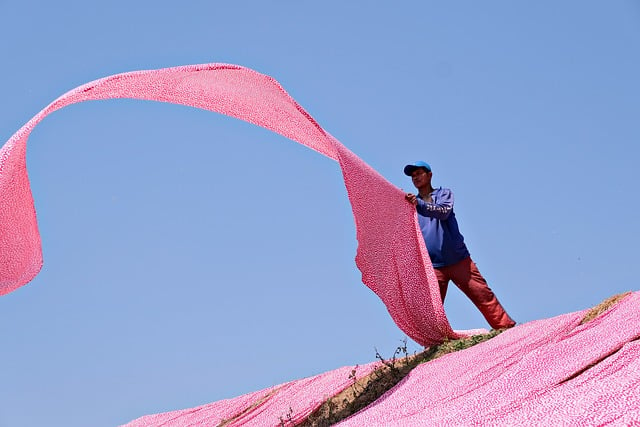 Experience Dubai’s Pink Limo Revolution: Luxury & Style on Wheels