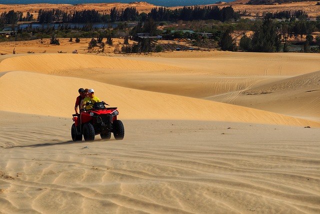 Polaris Dune
