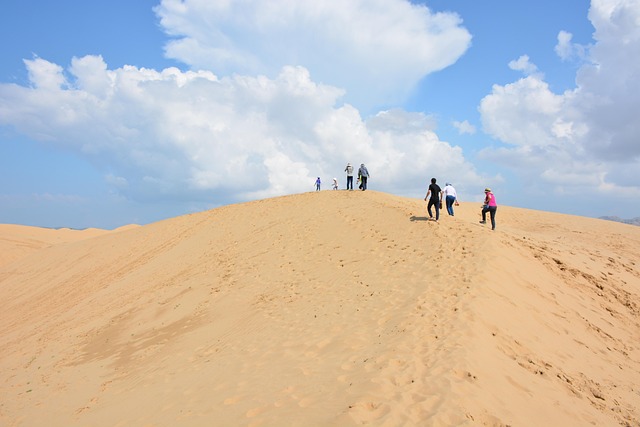 Polaris Dune