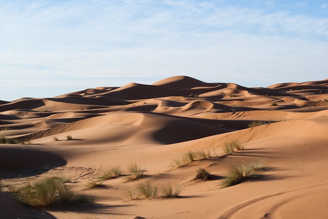 Private Desert