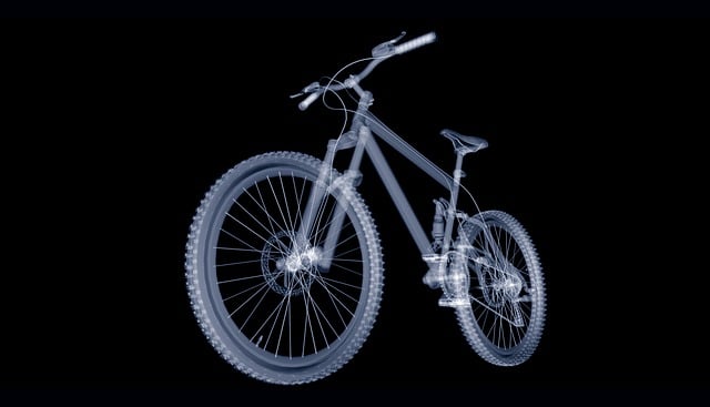 Quad Bike Rentals