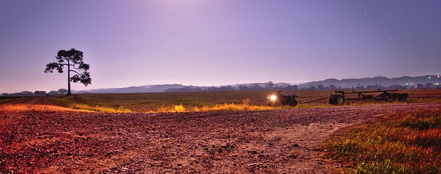 Adventure Quad Biking: Racing Through Dubai’s Desert Scenery