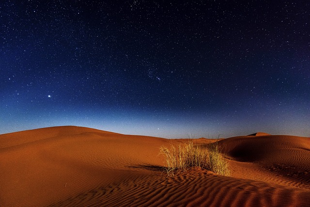 quad desert