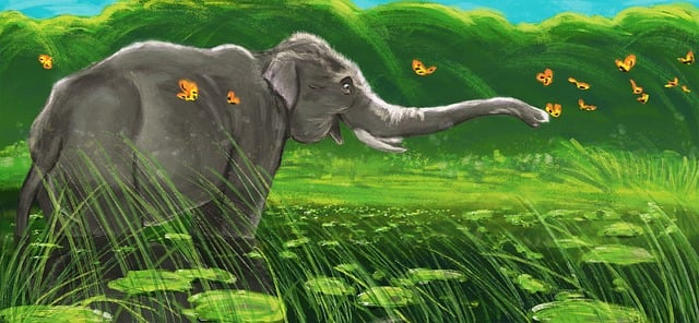 Safari