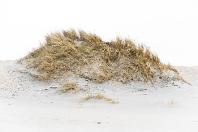 sand dune buggy