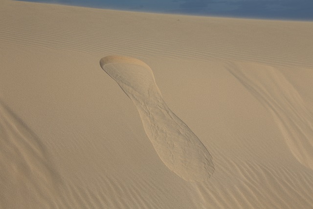 sand dune buggy