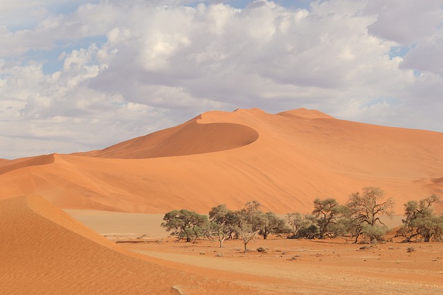 sand dune buggy