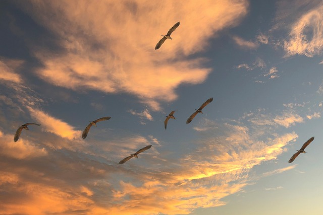 Sky Experience