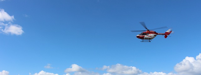 Skyline Helicopter