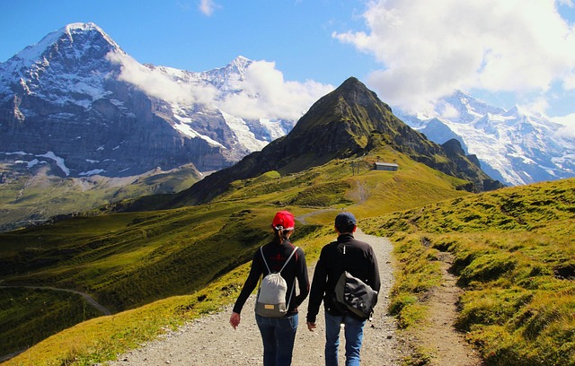 Tour and Travel Company