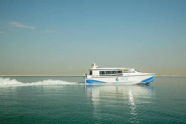 transfer dubai to abu dhabi