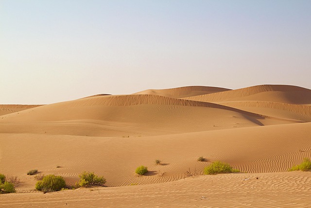 transfer dubai to abu dhabi