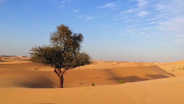 abu dhabi