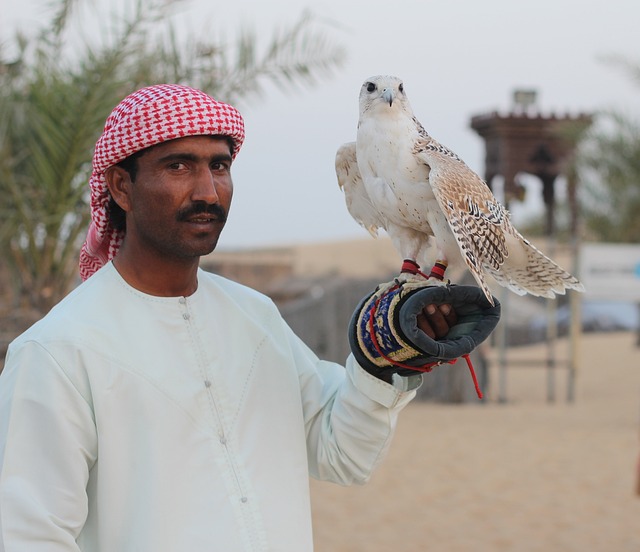 Discover Dubai’s Desert: An Off-Road ATV Adventure Guide