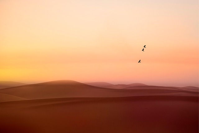 bike desert