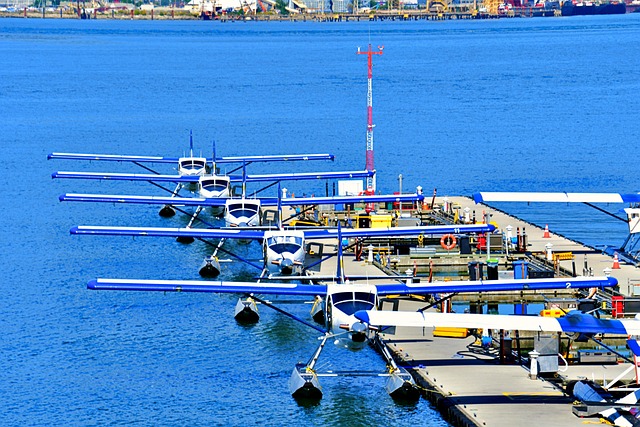 boat rental