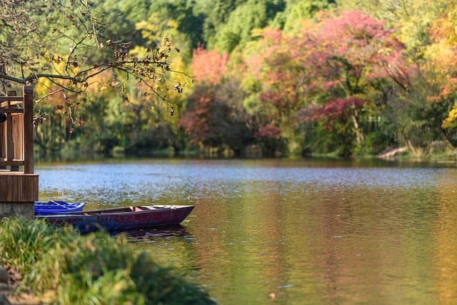 boat rental