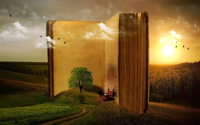 book yacht