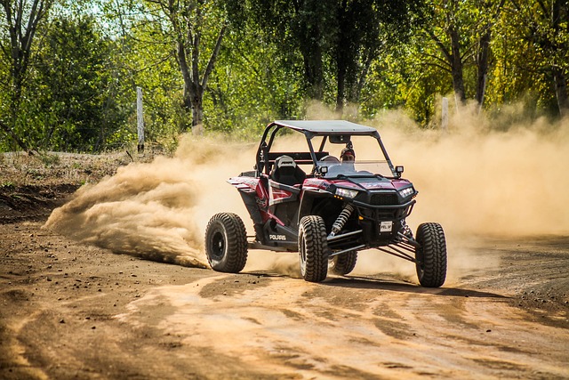 buggy adventure