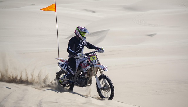buggy desert