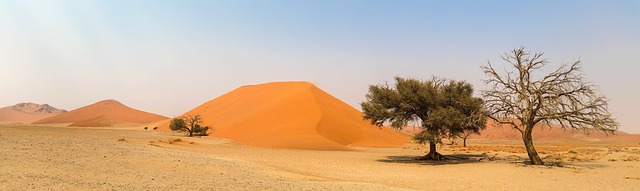 Discover Dubai’s Deserts: Affordable Buggy Safari Packages