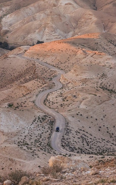 buggy desert