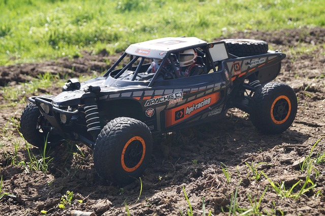 buggy desert