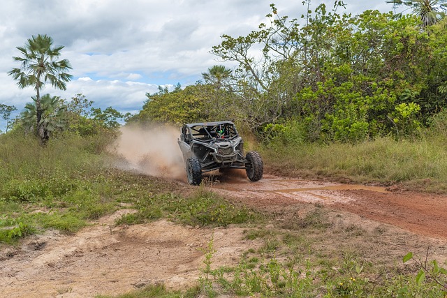 buggy experience